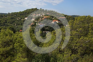 Village GoveÃâari on Mljet island photo